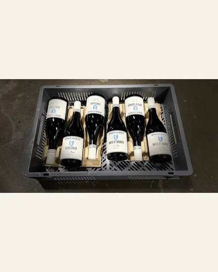 Charles Lachaux Nuits Saint Georges Petites Charmottes酒款图片