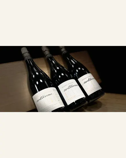 雅克·塞洛斯代表酒款图片